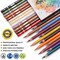 Professional Colored Charcoal Pencil Set – 24 Skin Tone Pastel Chalk Pencils for Sketching, Shading, Coloring, Layering & Blending